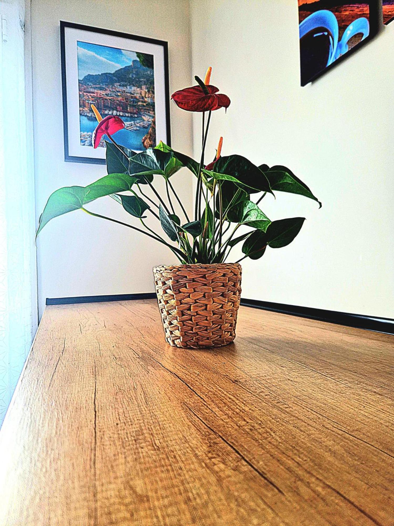 Appartement Nissalabella à Nice Extérieur photo